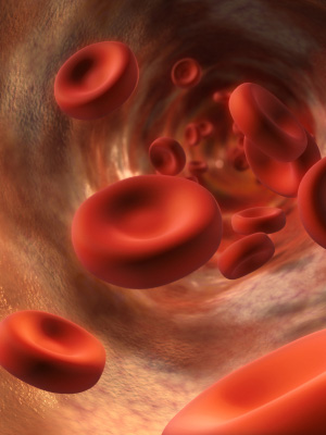 blood cells